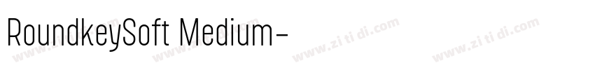 RoundkeySoft Medium字体转换